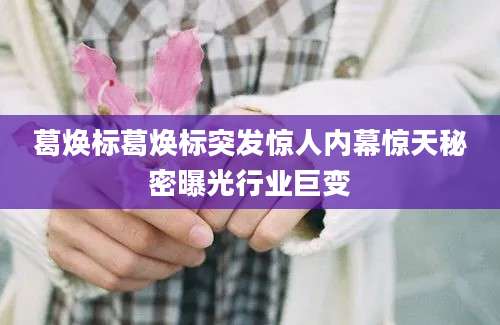 葛焕标葛焕标突发惊人内幕惊天秘密曝光行业巨变
