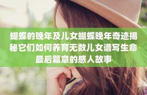 蝴蝶的晚年及儿女蝴蝶晚年奇迹揭秘它们如何养育无数儿女谱写生命最后篇章的感人故事