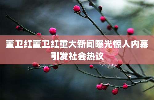 董卫红董卫红重大新闻曝光惊人内幕引发社会热议