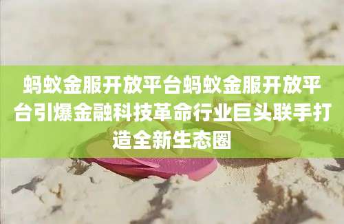 蚂蚁金服开放平台蚂蚁金服开放平台引爆金融科技革命行业巨头联手打造全新生态圈