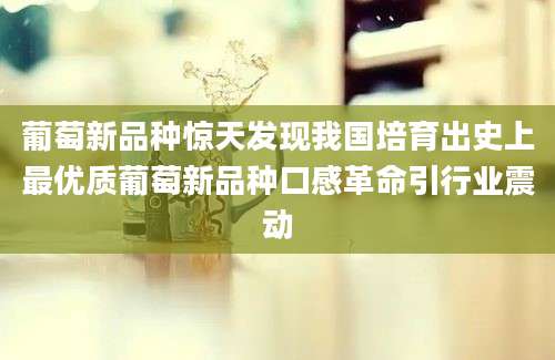 葡萄新品种惊天发现我国培育出史上最优质葡萄新品种口感革命引行业震动