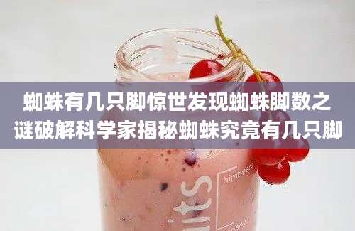 蜘蛛有几只脚惊世发现蜘蛛脚数之谜破解科学家揭秘蜘蛛究竟有几只脚