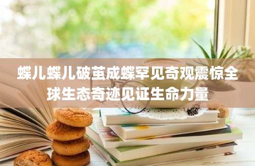蝶儿蝶儿破茧成蝶罕见奇观震惊全球生态奇迹见证生命力量