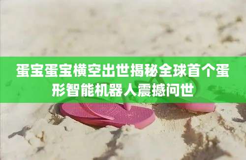 蛋宝蛋宝横空出世揭秘全球首个蛋形智能机器人震撼问世