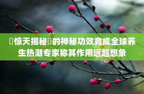 蔘惊天揭秘蔘的神秘功效竟成全球养生热潮专家称其作用远超想象