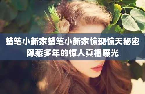 蜡笔小新家蜡笔小新家惊现惊天秘密隐藏多年的惊人真相曝光