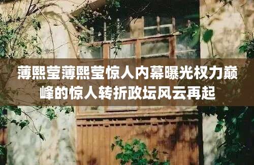 薄熙莹薄熙莹惊人内幕曝光权力巅峰的惊人转折政坛风云再起