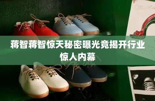 蒋智蒋智惊天秘密曝光竟揭开行业惊人内幕