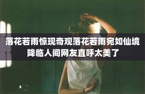 落花若雨惊现奇观落花若雨宛如仙境降临人间网友直呼太美了