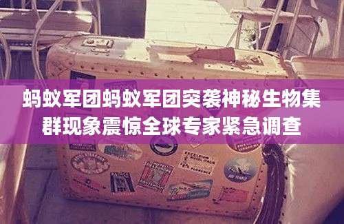 蚂蚁军团蚂蚁军团突袭神秘生物集群现象震惊全球专家紧急调查