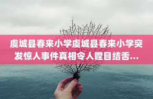 虞城县春来小学虞城县春来小学突发惊人事件真相令人瞠目结舌...
