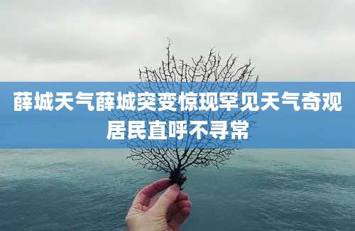 薛城天气薛城突变惊现罕见天气奇观居民直呼不寻常