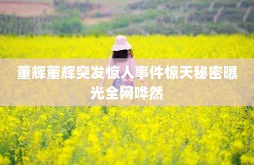 董辉董辉突发惊人事件惊天秘密曝光全网哗然