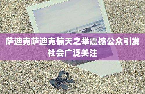萨迪克萨迪克惊天之举震撼公众引发社会广泛关注