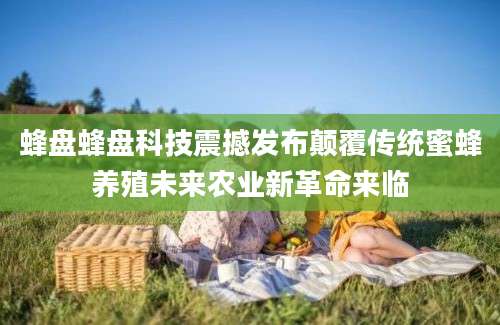 蜂盘蜂盘科技震撼发布颠覆传统蜜蜂养殖未来农业新革命来临