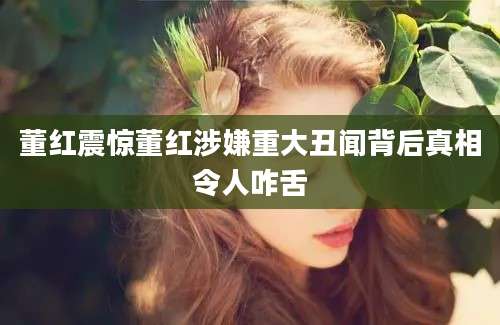 董红震惊董红涉嫌重大丑闻背后真相令人咋舌