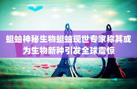 蜓蚰神秘生物蜓蚰现世专家称其或为生物新种引发全球震惊