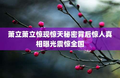 萧立萧立惊现惊天秘密背后惊人真相曝光震惊全国