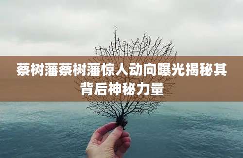 蔡树藩蔡树藩惊人动向曝光揭秘其背后神秘力量