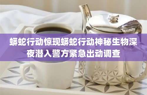 蟒蛇行动惊现蟒蛇行动神秘生物深夜潜入警方紧急出动调查