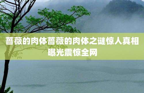蔷薇的肉体蔷薇的肉体之谜惊人真相曝光震惊全网