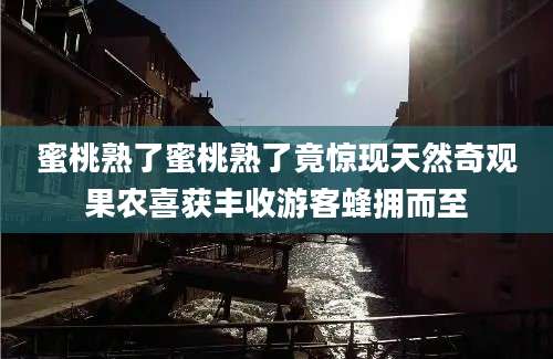 蜜桃熟了蜜桃熟了竟惊现天然奇观果农喜获丰收游客蜂拥而至
