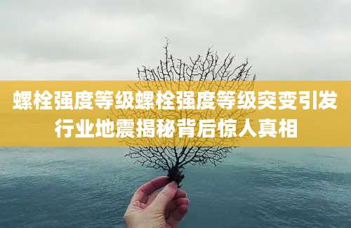 螺栓强度等级螺栓强度等级突变引发行业地震揭秘背后惊人真相