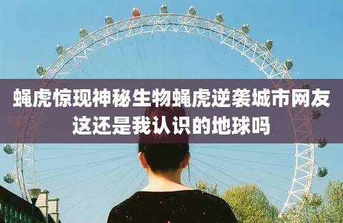 蝇虎惊现神秘生物蝇虎逆袭城市网友这还是我认识的地球吗