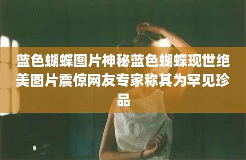 蓝色蝴蝶图片神秘蓝色蝴蝶现世绝美图片震惊网友专家称其为罕见珍品