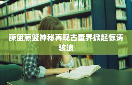 藤篮藤篮神秘再现古董界掀起惊涛骇浪