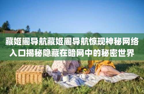 藏姬阁导航藏姬阁导航惊现神秘网络入口揭秘隐藏在暗网中的秘密世界
