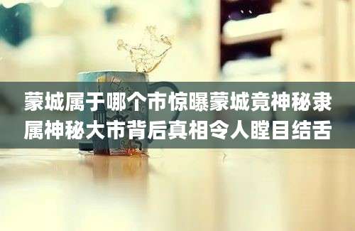蒙城属于哪个市惊曝蒙城竟神秘隶属神秘大市背后真相令人瞠目结舌