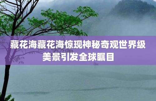 藏花海藏花海惊现神秘奇观世界级美景引发全球瞩目