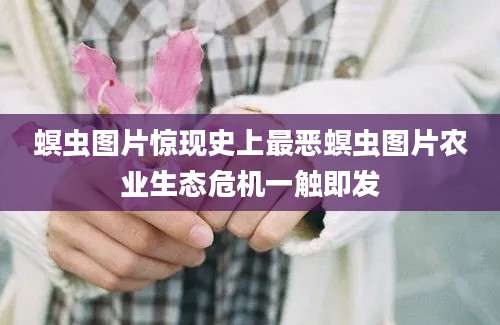 螟虫图片惊现史上最恶螟虫图片农业生态危机一触即发