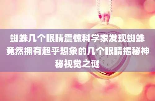 蜘蛛几个眼睛震惊科学家发现蜘蛛竟然拥有超乎想象的几个眼睛揭秘神秘视觉之谜