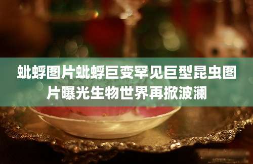 蚍蜉图片蚍蜉巨变罕见巨型昆虫图片曝光生物世界再掀波澜