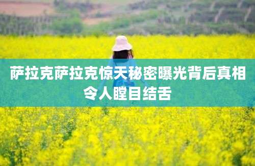 萨拉克萨拉克惊天秘密曝光背后真相令人瞠目结舌