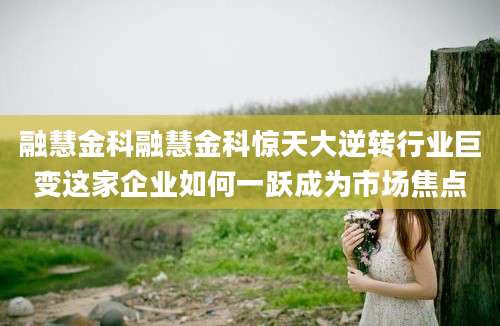融慧金科融慧金科惊天大逆转行业巨变这家企业如何一跃成为市场焦点