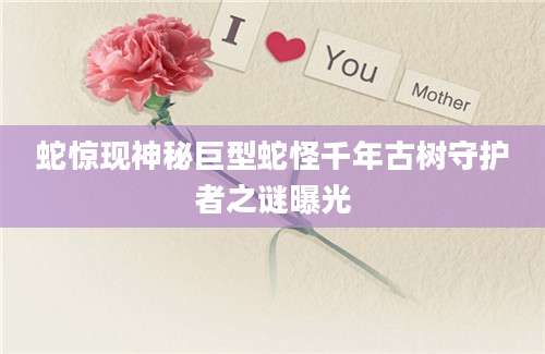 蛇惊现神秘巨型蛇怪千年古树守护者之谜曝光