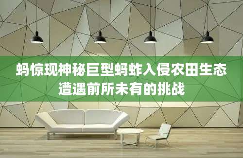 蚂惊现神秘巨型蚂蚱入侵农田生态遭遇前所未有的挑战
