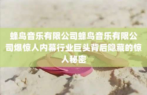 蜂鸟音乐有限公司蜂鸟音乐有限公司爆惊人内幕行业巨头背后隐藏的惊人秘密