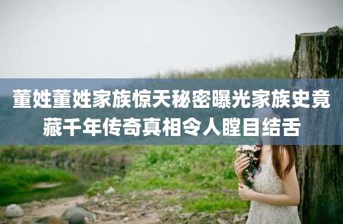 董姓董姓家族惊天秘密曝光家族史竟藏千年传奇真相令人瞠目结舌