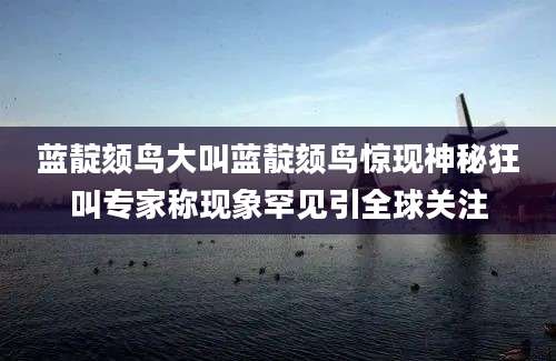蓝靛颏鸟大叫蓝靛颏鸟惊现神秘狂叫专家称现象罕见引全球关注