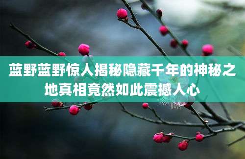 蓝野蓝野惊人揭秘隐藏千年的神秘之地真相竟然如此震撼人心