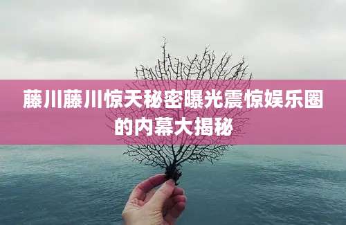 藤川藤川惊天秘密曝光震惊娱乐圈的内幕大揭秘